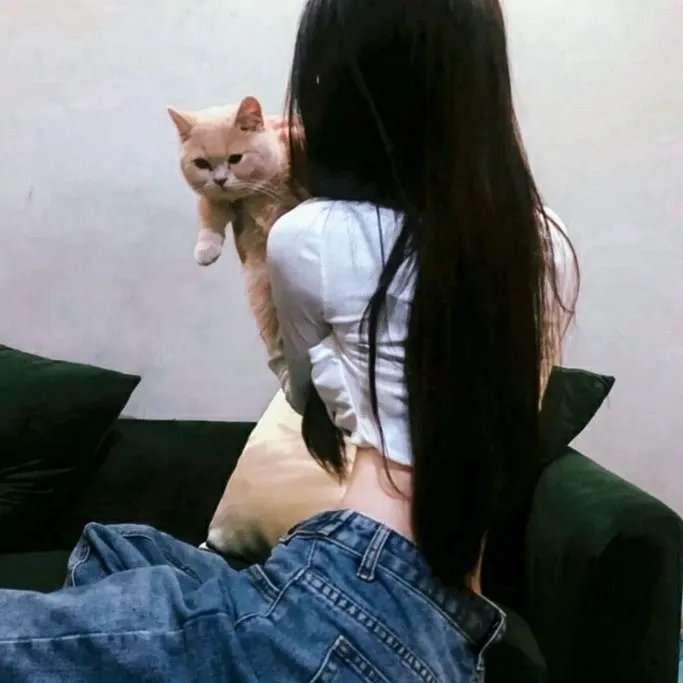 射雕英雄传之东成西就